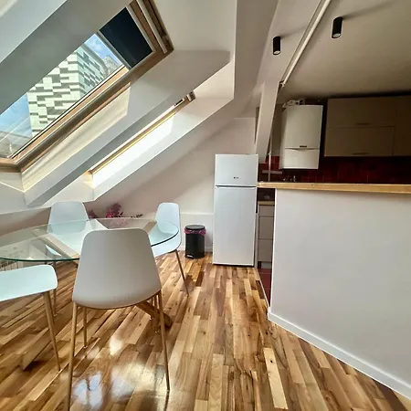 Apartment Attic In A Heritage Building Sarajevo